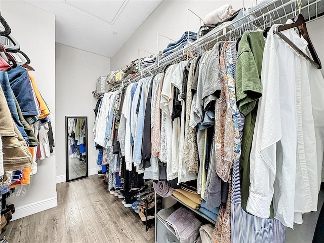 spacious closet featuring hardwood / wood-style flooring