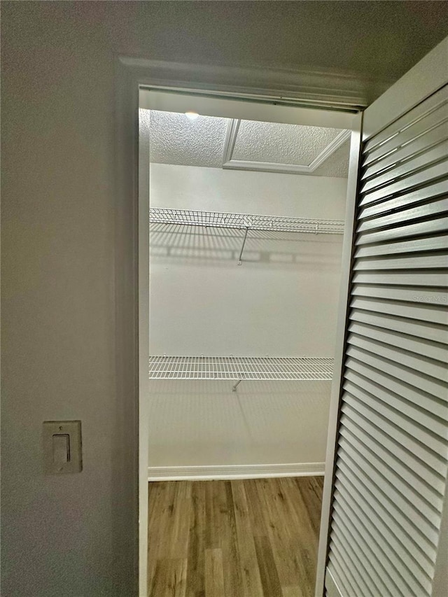 view of closet