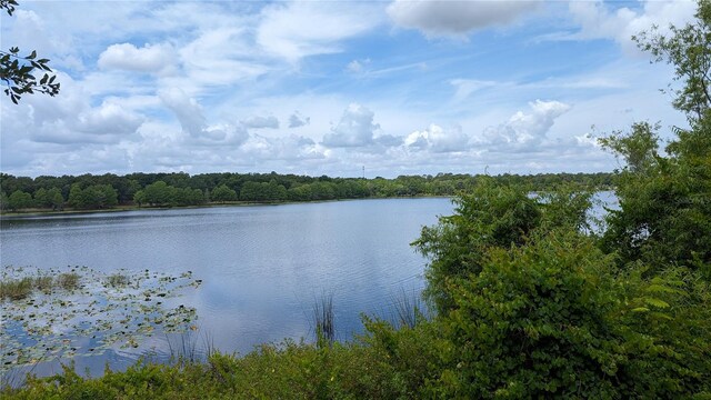 view of water view