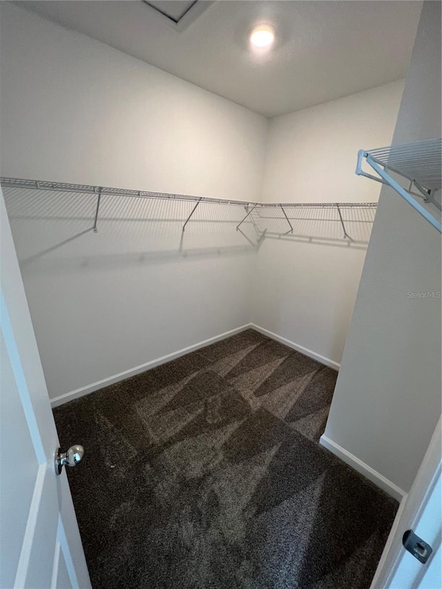 spacious closet with carpet floors