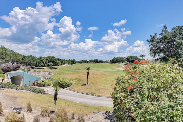 view of home's community with a yard