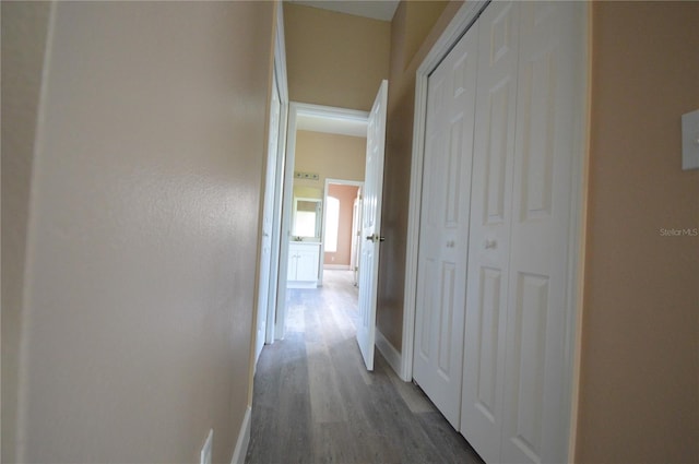 hall featuring dark wood-type flooring