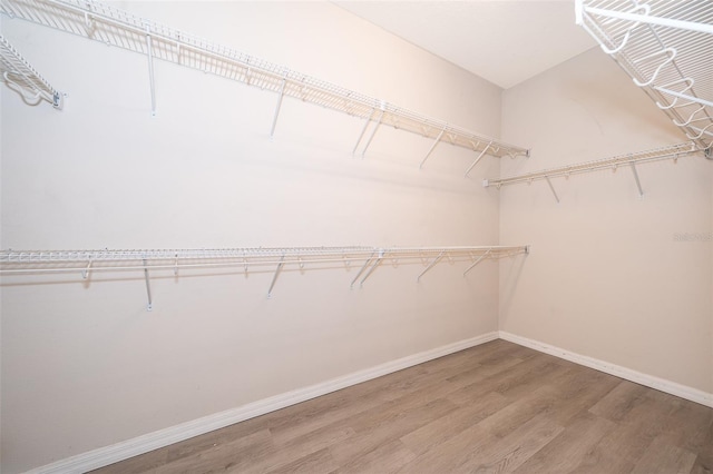 spacious closet with hardwood / wood-style floors