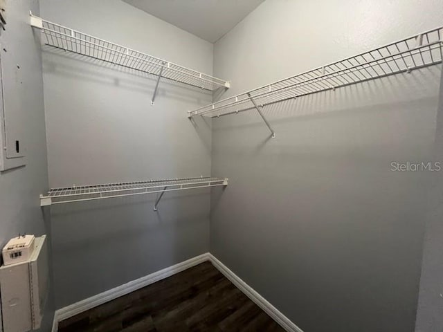 walk in closet with wood-type flooring