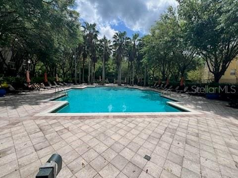 view of pool featuring a patio area