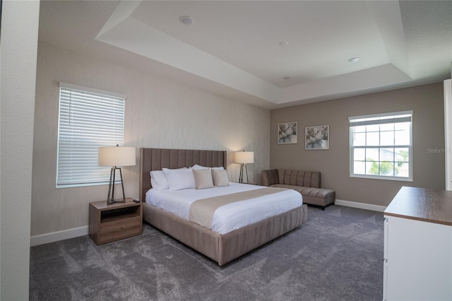 carpeted bedroom featuring a tray ceiling