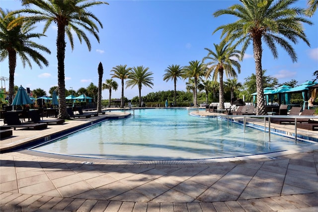 view of pool featuring a patio area