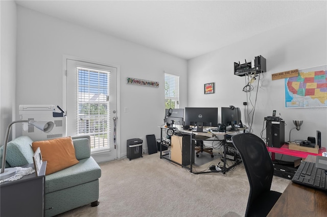 office area featuring carpet floors