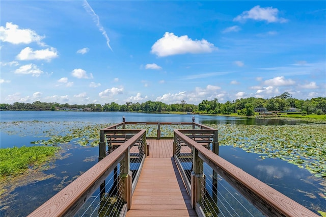 dock area with a water view