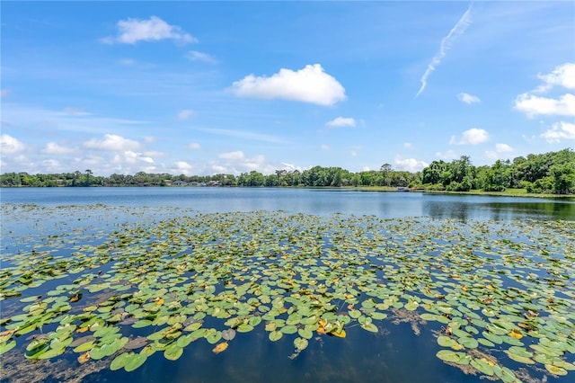 view of water view