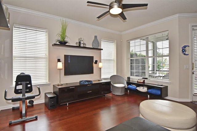 living room with ornamental molding, ceiling fan, and dark hardwood / wood-style floors