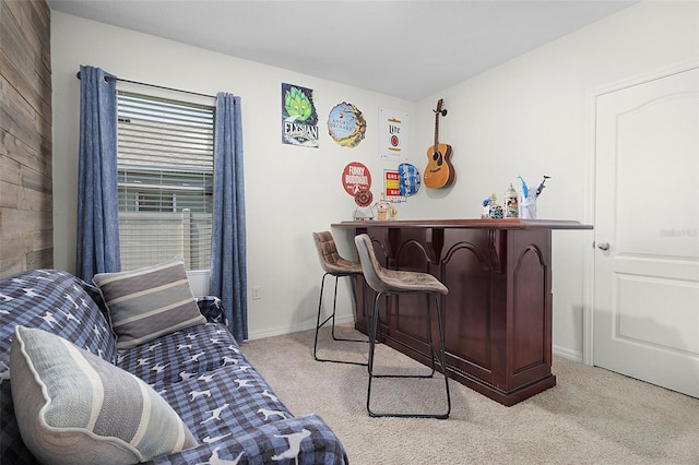 bedroom with carpet flooring