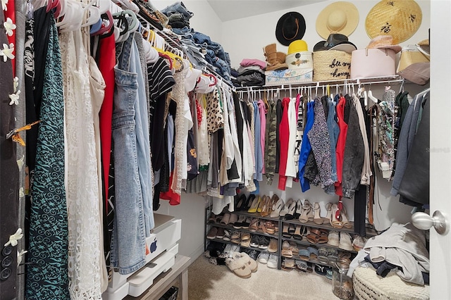 spacious closet with carpet