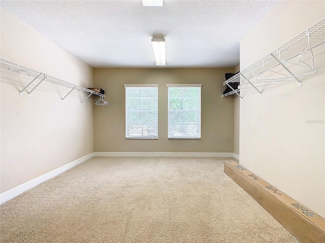 spacious closet featuring carpet floors and a baseboard heating unit