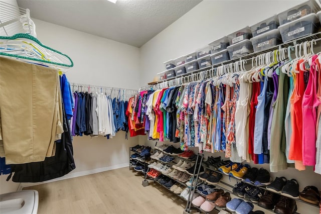 spacious closet featuring wood-type flooring