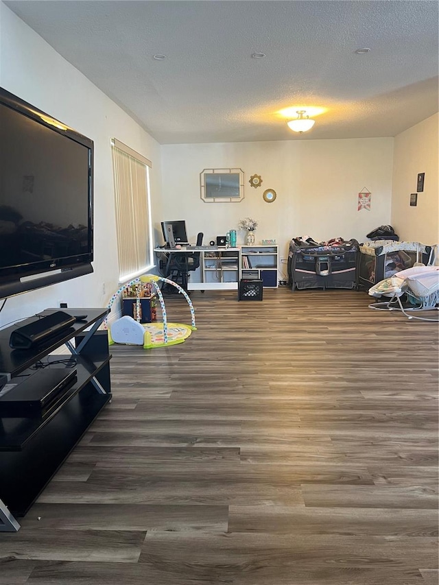 living room with a textured ceiling and hardwood / wood-style flooring