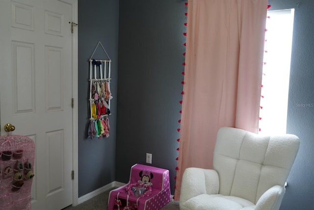 sitting room featuring carpet flooring