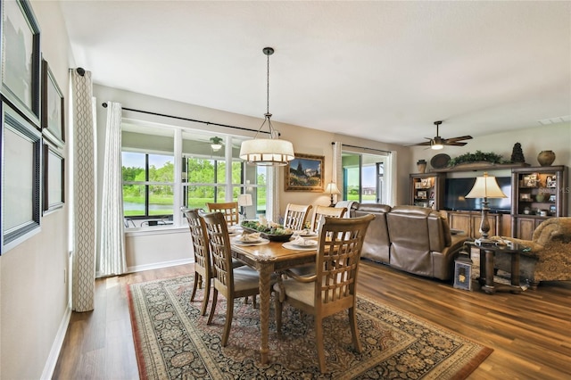 dining area featuring a wealth of natural light and dark hardwood / wood-style flooring