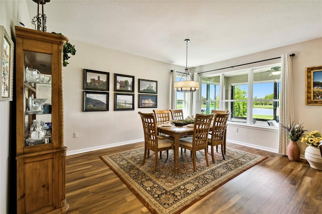 dining area with a textured ceiling and dark hardwood / wood-style floors