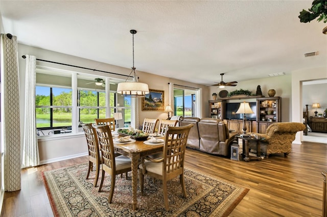 dining room featuring hardwood / wood-style flooring, a healthy amount of sunlight, and a textured ceiling