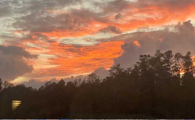 view of nature at dusk