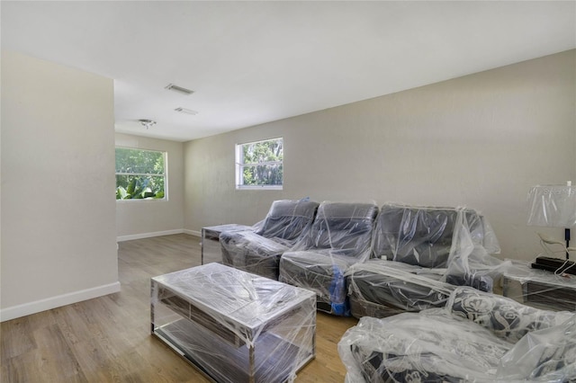 living room with wood-type flooring