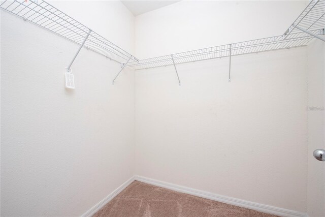 1843 Brockridge Rd, Kissimmee, FL 34744 - photo 18