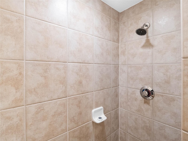 room details featuring tiled shower