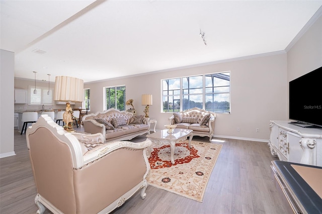 living room featuring ornamental molding and wood-type flooring