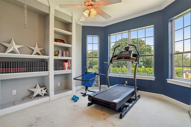 exercise room with crown molding, built in features, carpet floors, and ceiling fan