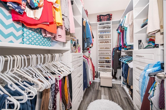 spacious closet with dark wood-type flooring