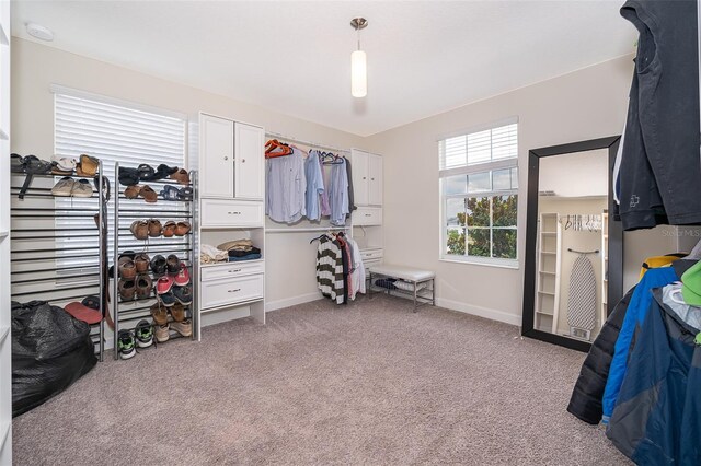 spacious closet with light carpet