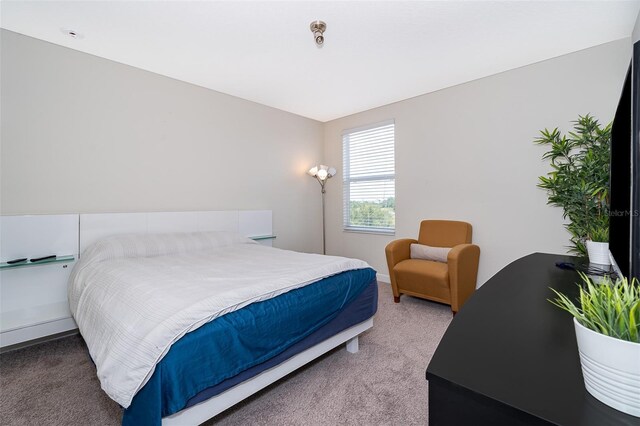 bedroom with carpet flooring