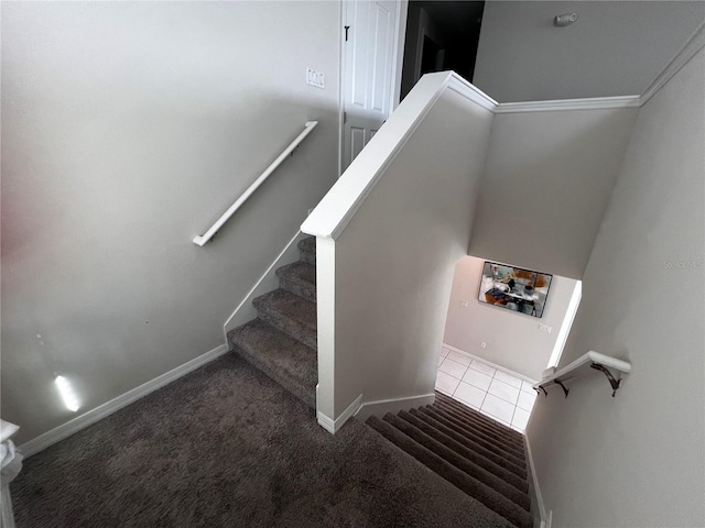 stairs featuring carpet floors and ornamental molding