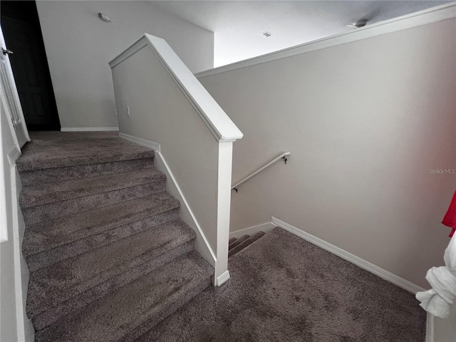 stairs featuring carpet floors