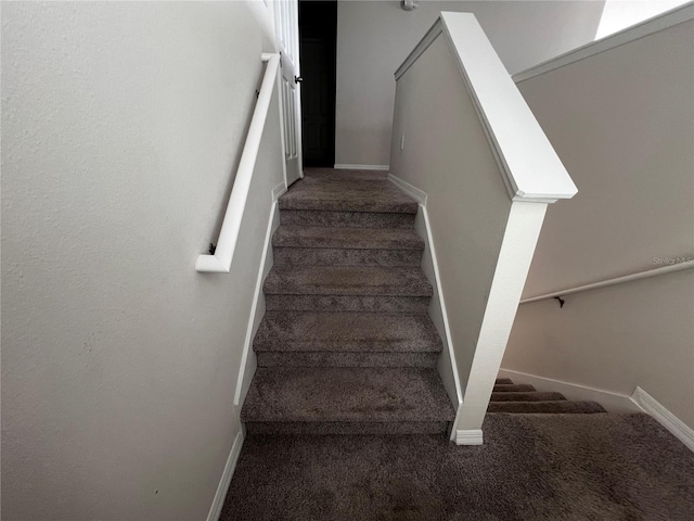 stairs with carpet floors