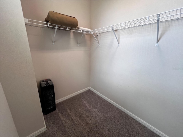 spacious closet with dark carpet