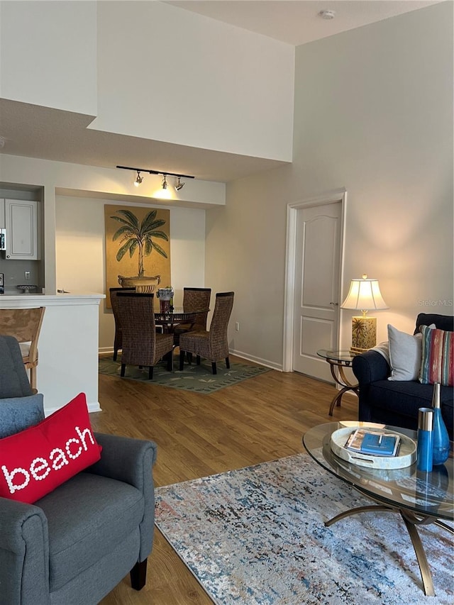 living room featuring hardwood / wood-style floors