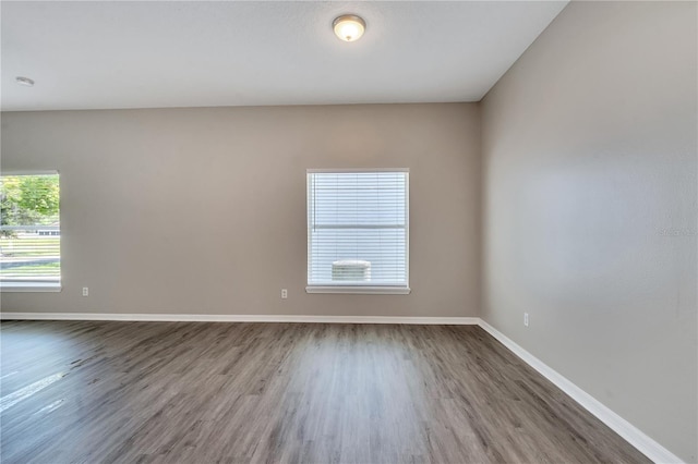 empty room with a wealth of natural light and hardwood / wood-style flooring