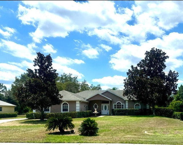 ranch-style house with a front yard