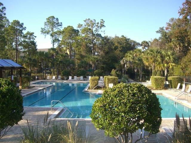 view of pool featuring a patio