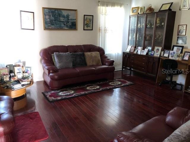 living room featuring dark wood-type flooring