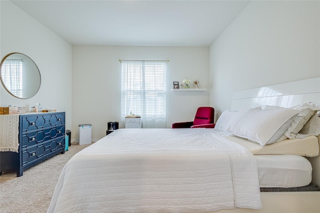 bedroom with carpet