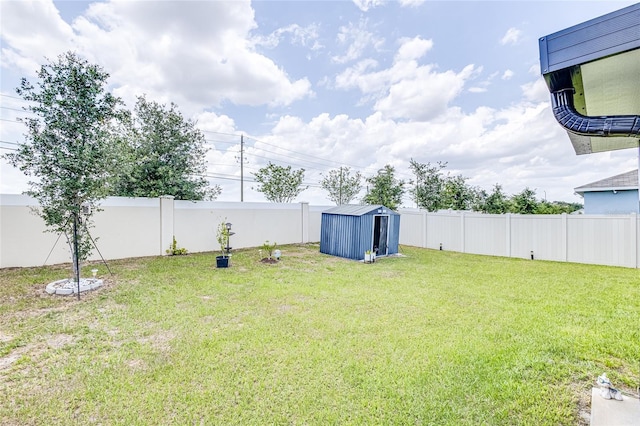 view of yard with a storage unit