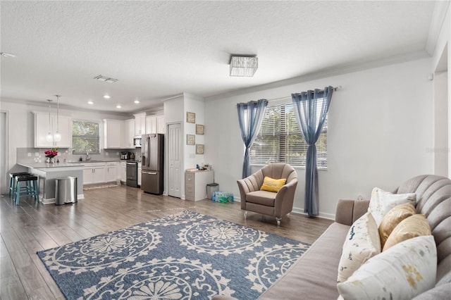 living room featuring sink, crown molding, dark hardwood / wood-style floors, and a textured ceiling