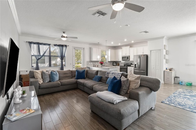 living room with crown molding, sink, a textured ceiling, and light wood-type flooring