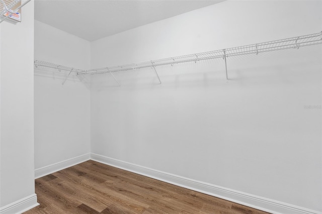 walk in closet featuring dark hardwood / wood-style flooring