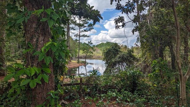 268 Almyra Dr, Lake Mary, FL 32746 - photo 4