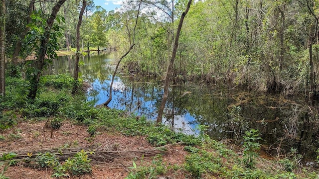 268 Almyra Dr, Lake Mary, FL 32746 - photo 6