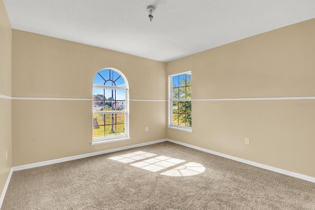 unfurnished room featuring plenty of natural light and carpet